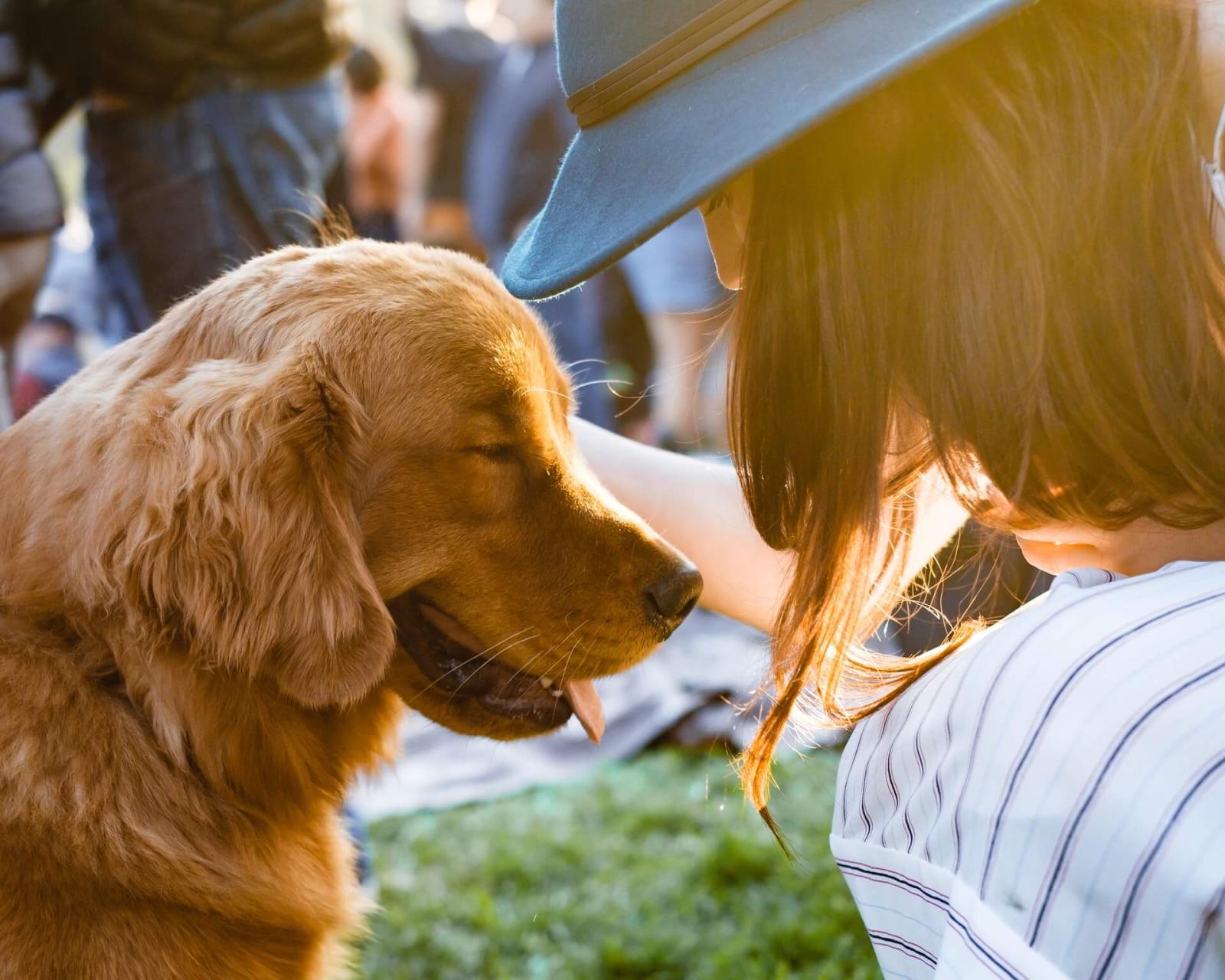 Dog and owner sitting outside